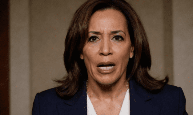 Kamala Harris Secretly Laments That Nation Just Doesn’t Understand Her Genius, According to Sources Inside the White House